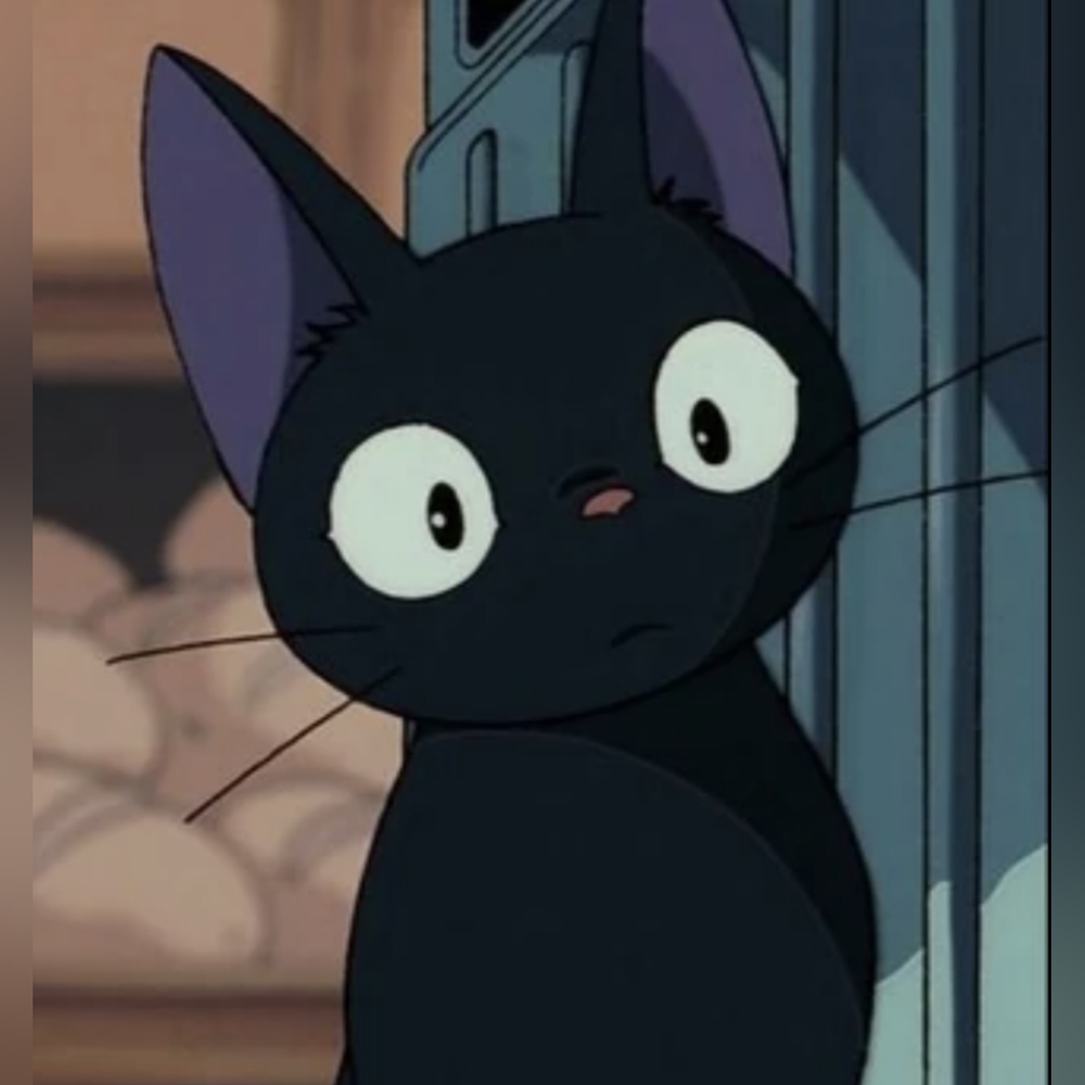 Meet your Posher, Nicky